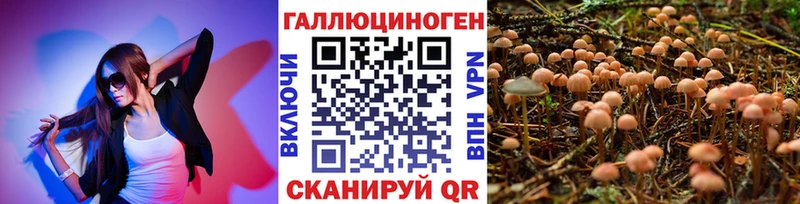Псилоцибиновые грибы Psilocybine cubensis Ветлуга