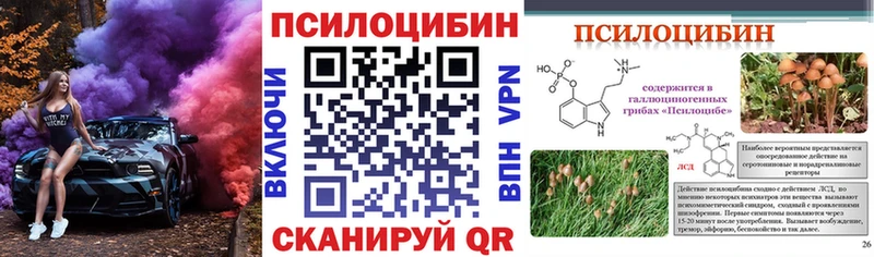 Галлюциногенные грибы Magic Shrooms  Ветлуга 