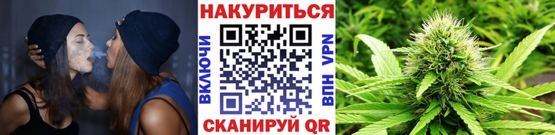 Канабис планчик  где найти   Ветлуга 